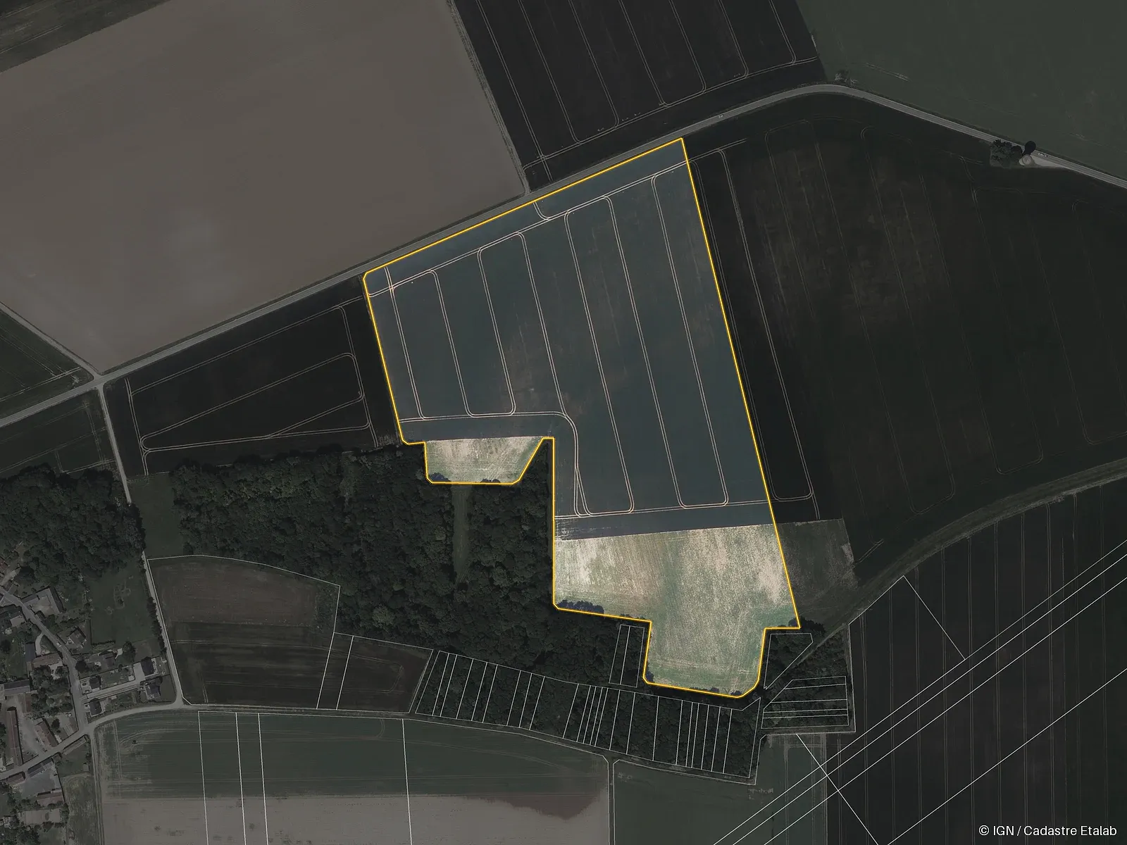 Dense segmentation